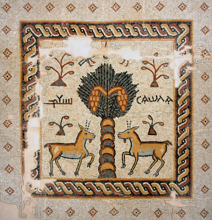 Vai a: Appuntamenti dal 24 al 30 novembre 2025