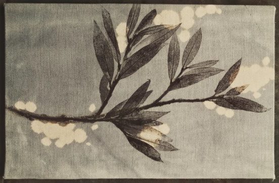 Vai a: Appuntamenti dal 26 gennaio all’1 febbraio 2026