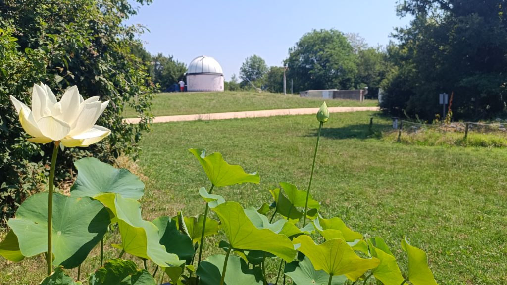 Vai a: Appuntamenti dal 22 al 28 giugno 2026